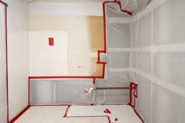 Reliable Jackson, OH Mold Removal Solutions