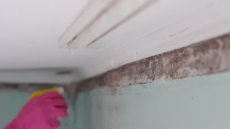 Forensic Mold Investigation in Jackson, OH